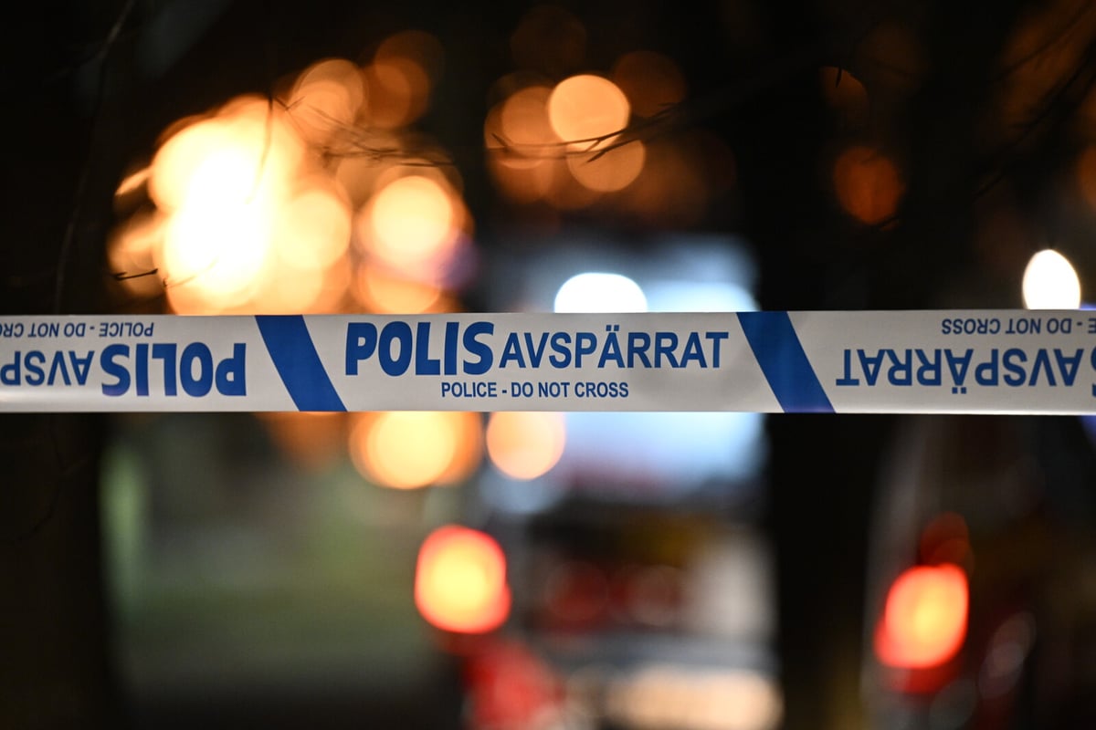 One Dead After Villa Fire Outside Sveg