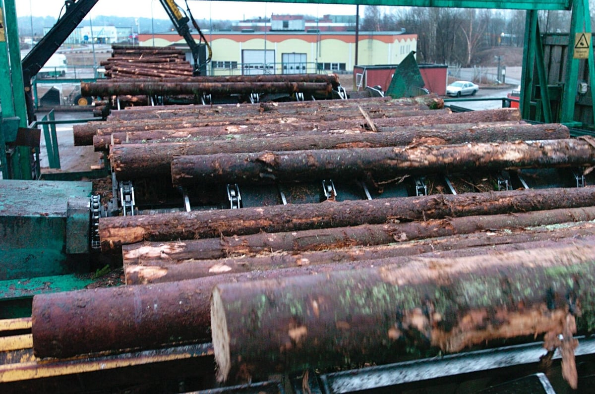 Felling of Forests Appears to be Decreasing