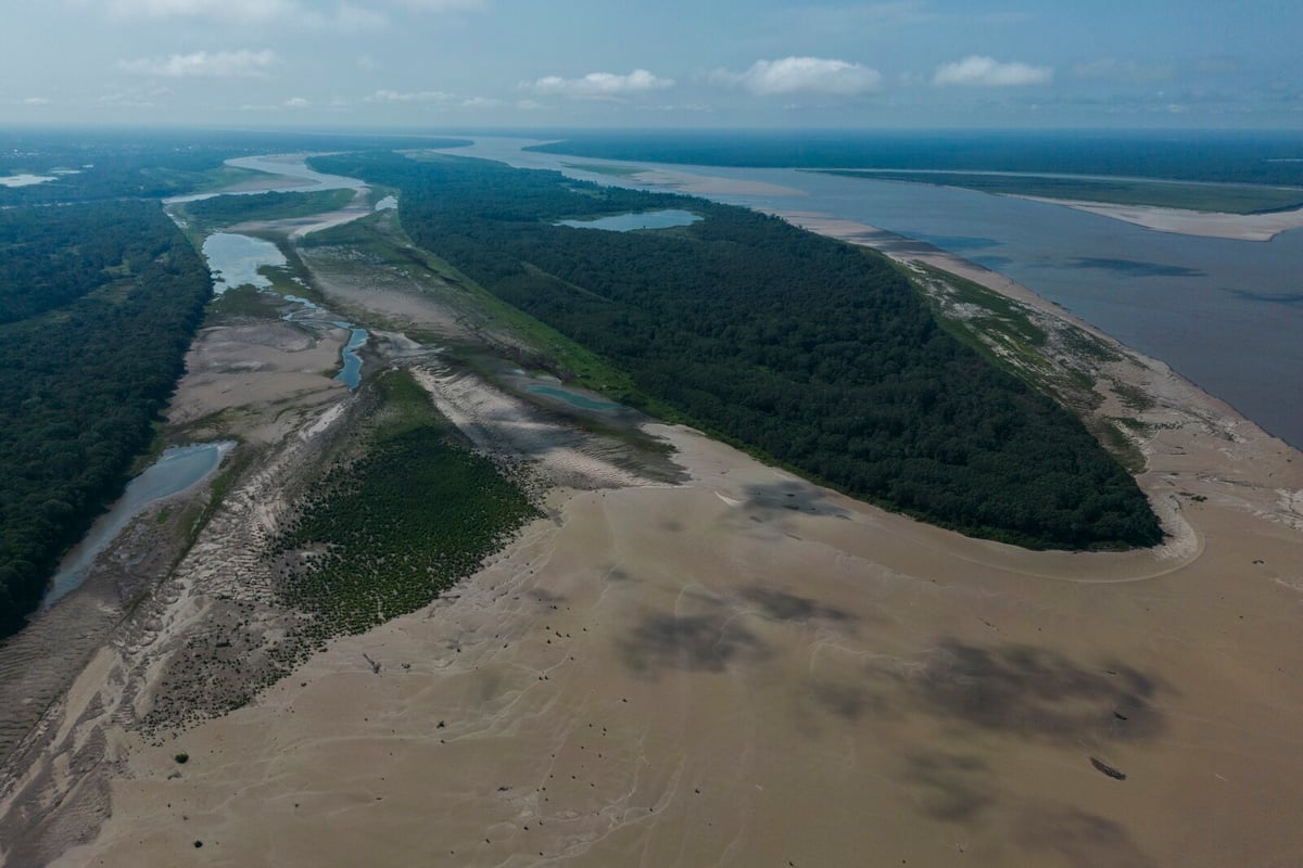 Four crucial questions to save animals and nature
