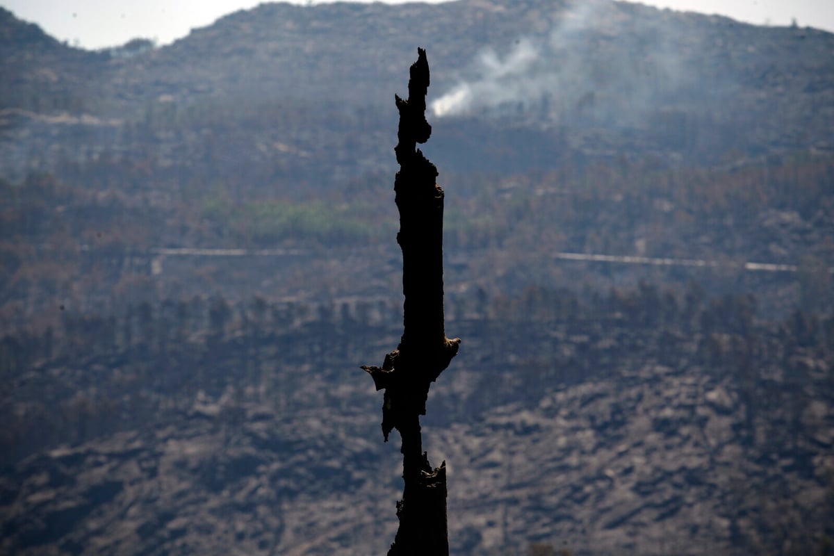 Portugal Requests Help as Forests Burn
