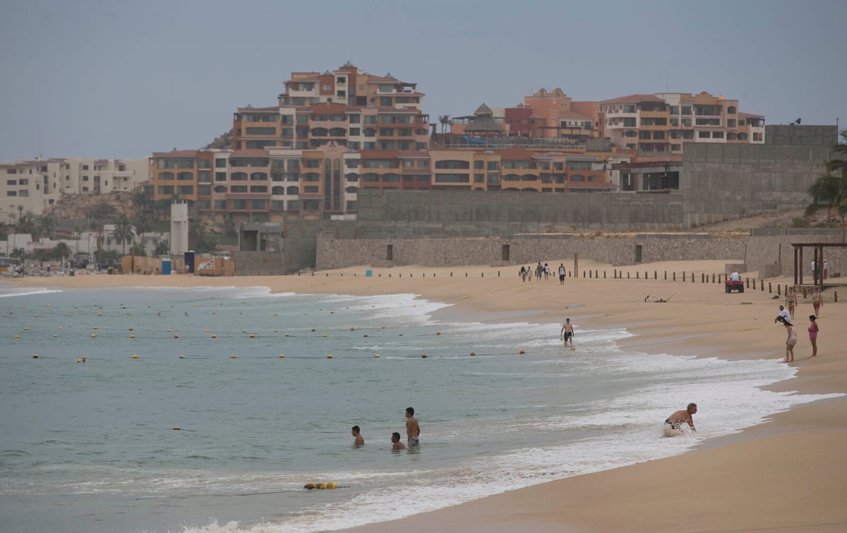 Toxic "blue dragons" on tourist beach - warning against bathing