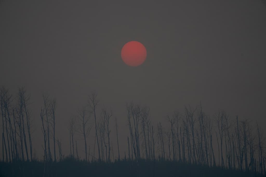 Thousands Evacuated After Forest Fires in Canada