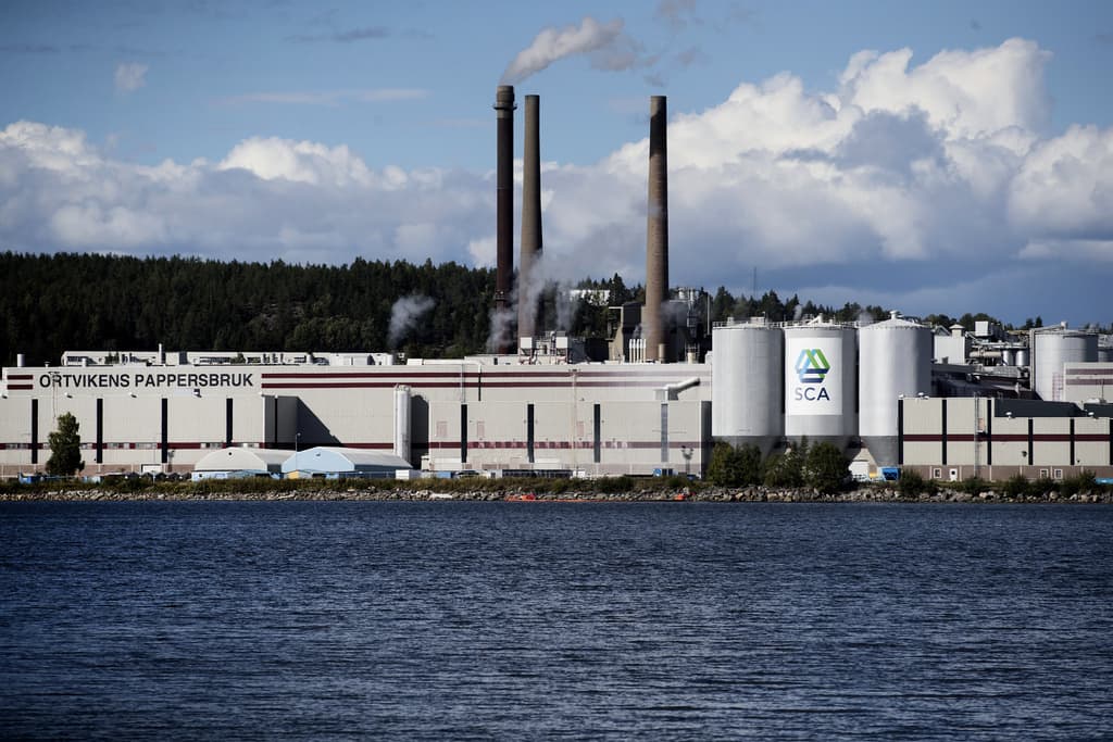 Renewcell gets new owner - can give jobs back