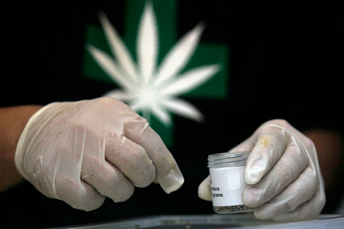 "No to Legalizing Cannabis in Florida"