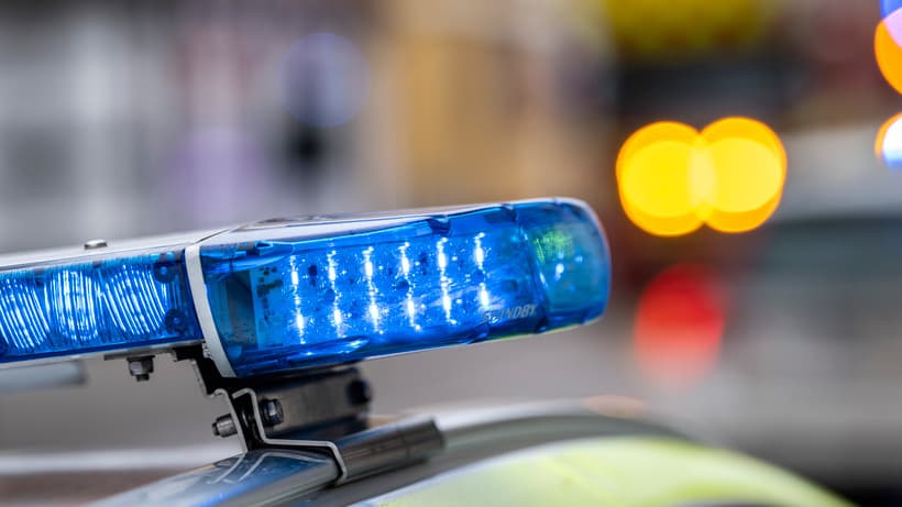 Man taken to hospital - got a cow on top of him