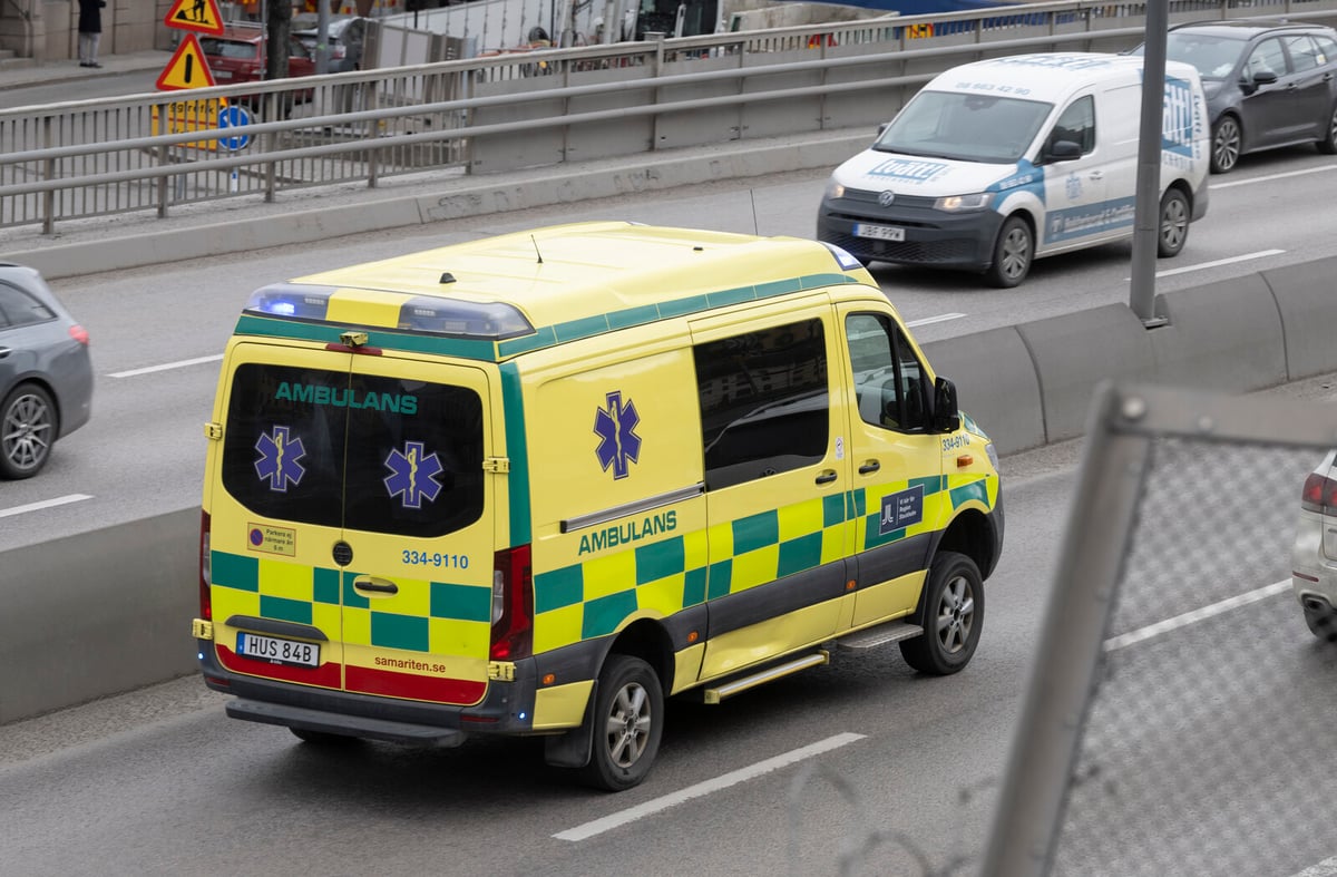 Dog on the Loose – Two Taken to Hospital after Crash