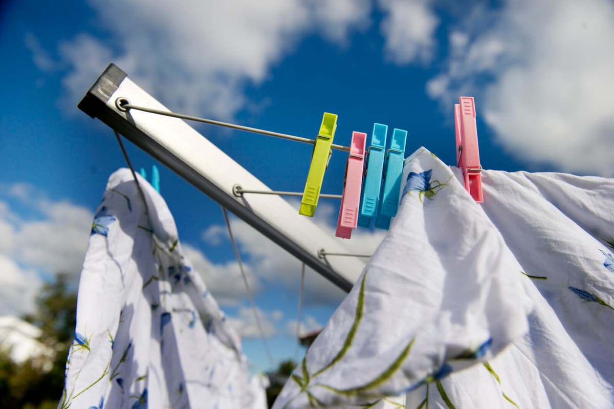 Panty thieves led police to abuse films