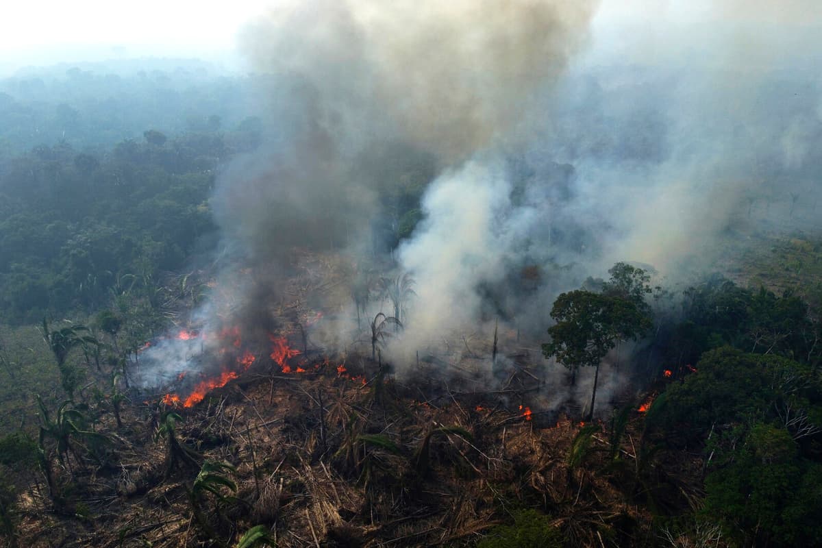 Worst forest fires in over 20 years