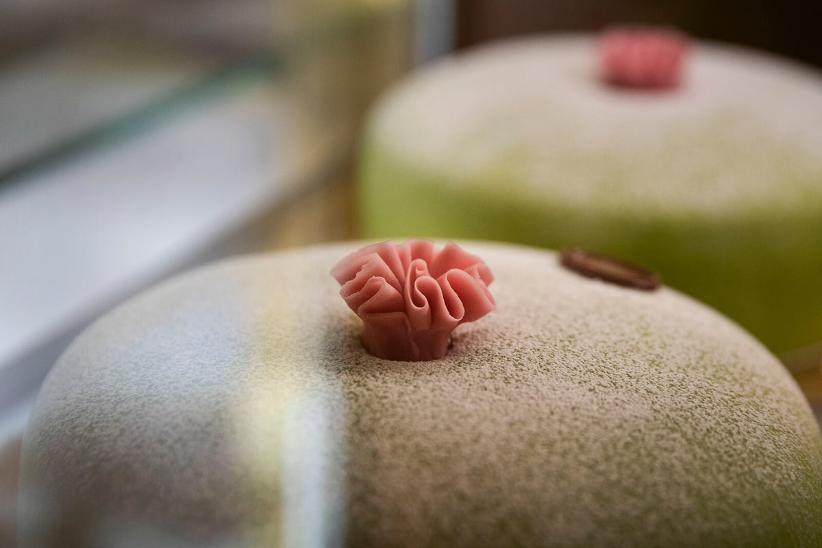 S-Politician Leaves Assignments After Cake Statement