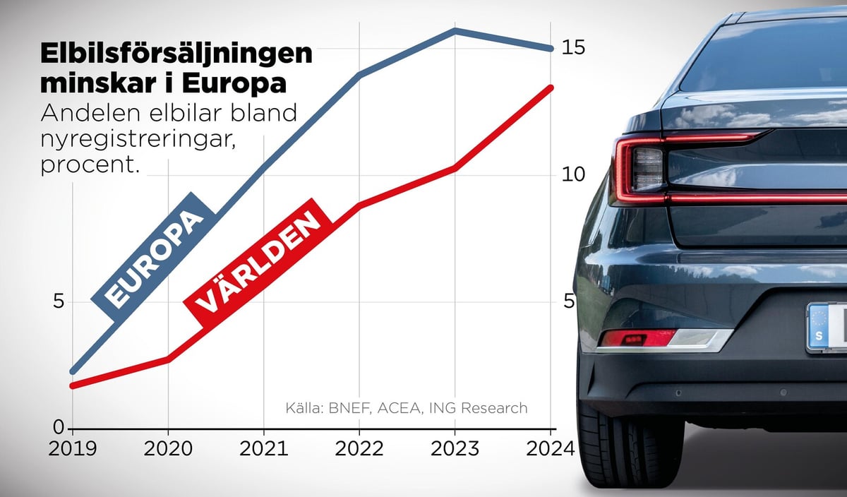 The Crisis for Electric Cars - "Rather an Adjustment"