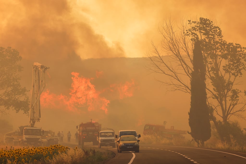 Heatwave in Europe: Wildfires and Power Cuts
