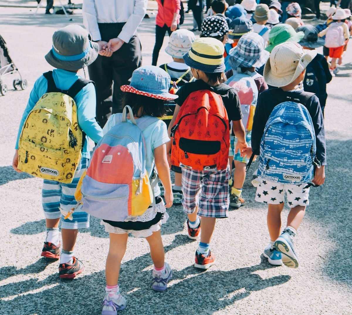 Swedish Education System and Native Language Instruction