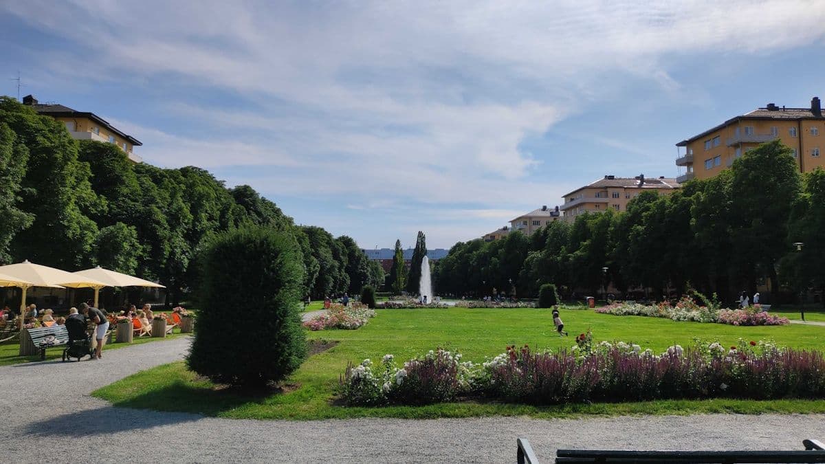 Swedish summer is the best