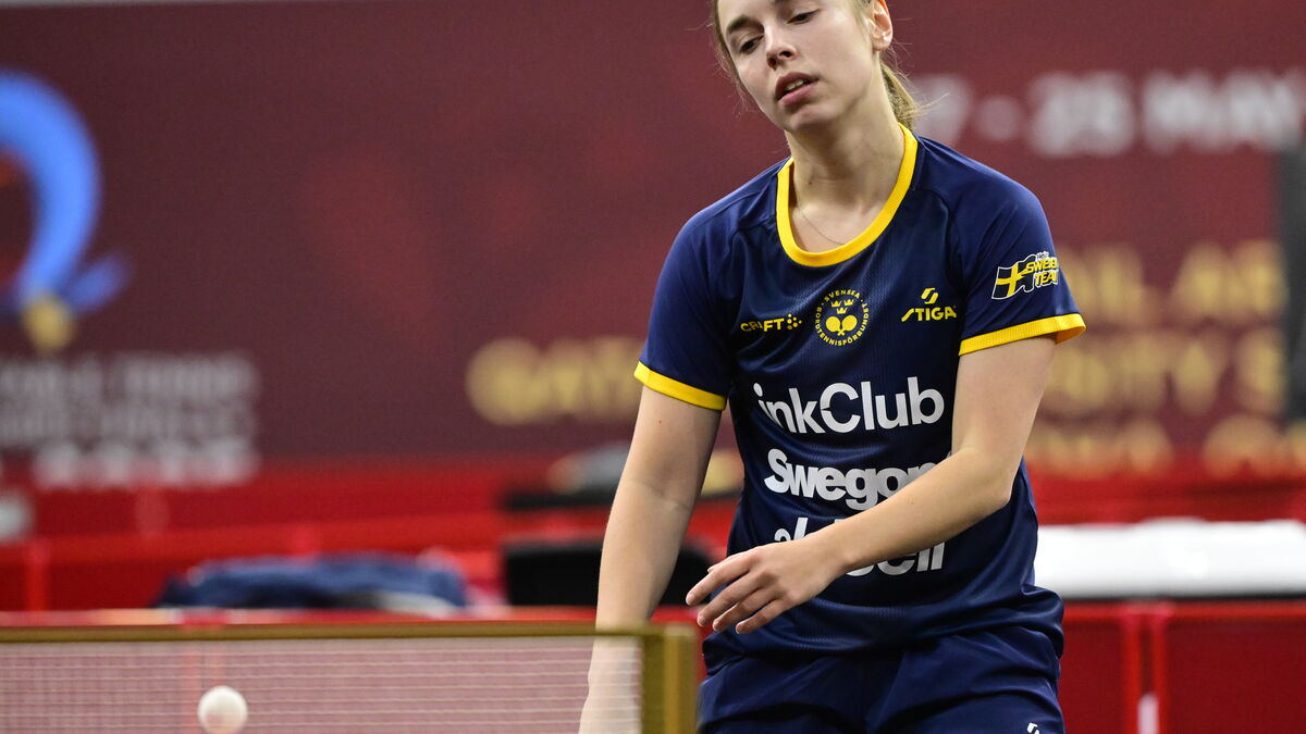 Sweden Eliminated Swedish Analysis: What Went Wrong?