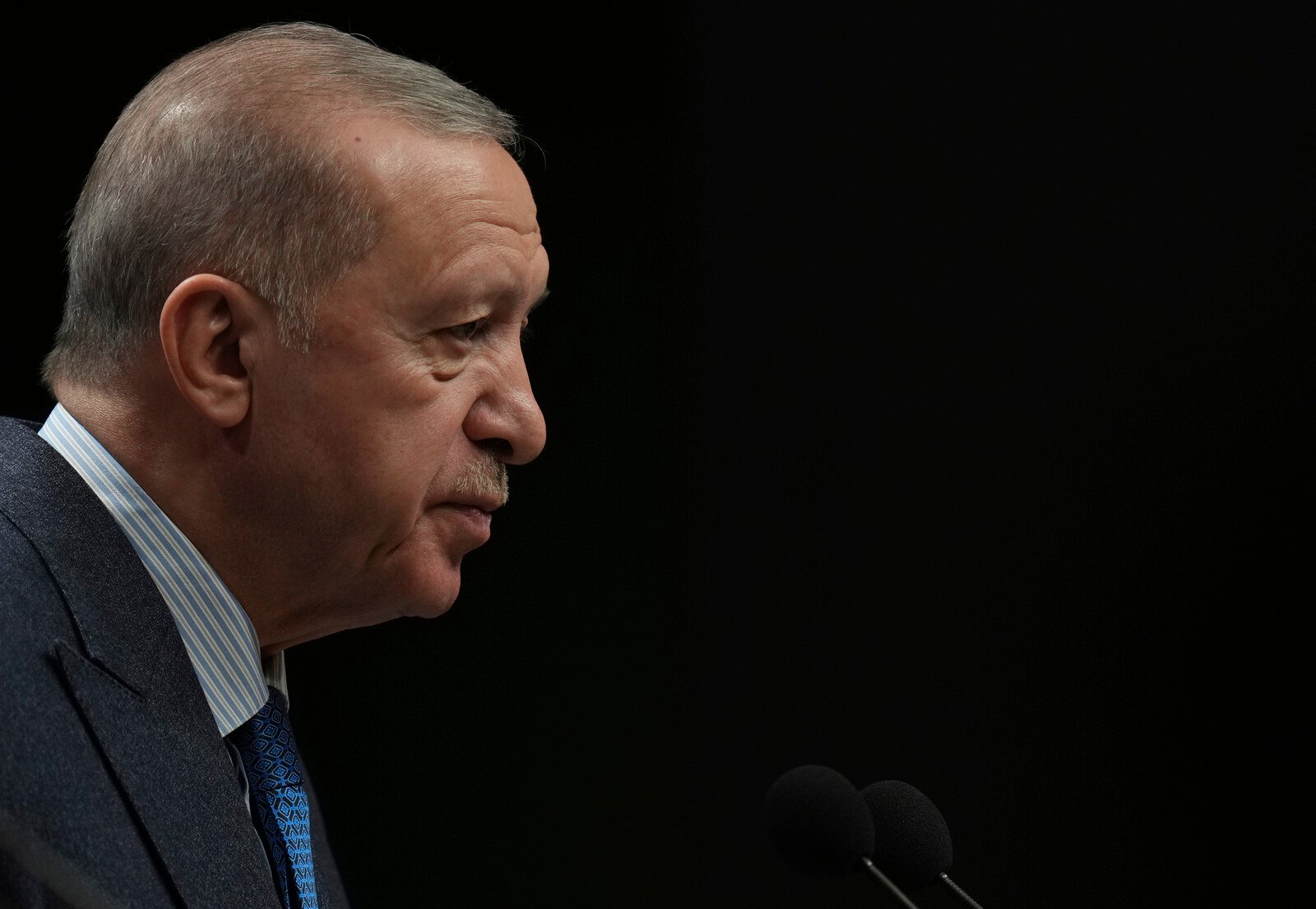 Turkish Journalists Timur Soykan and