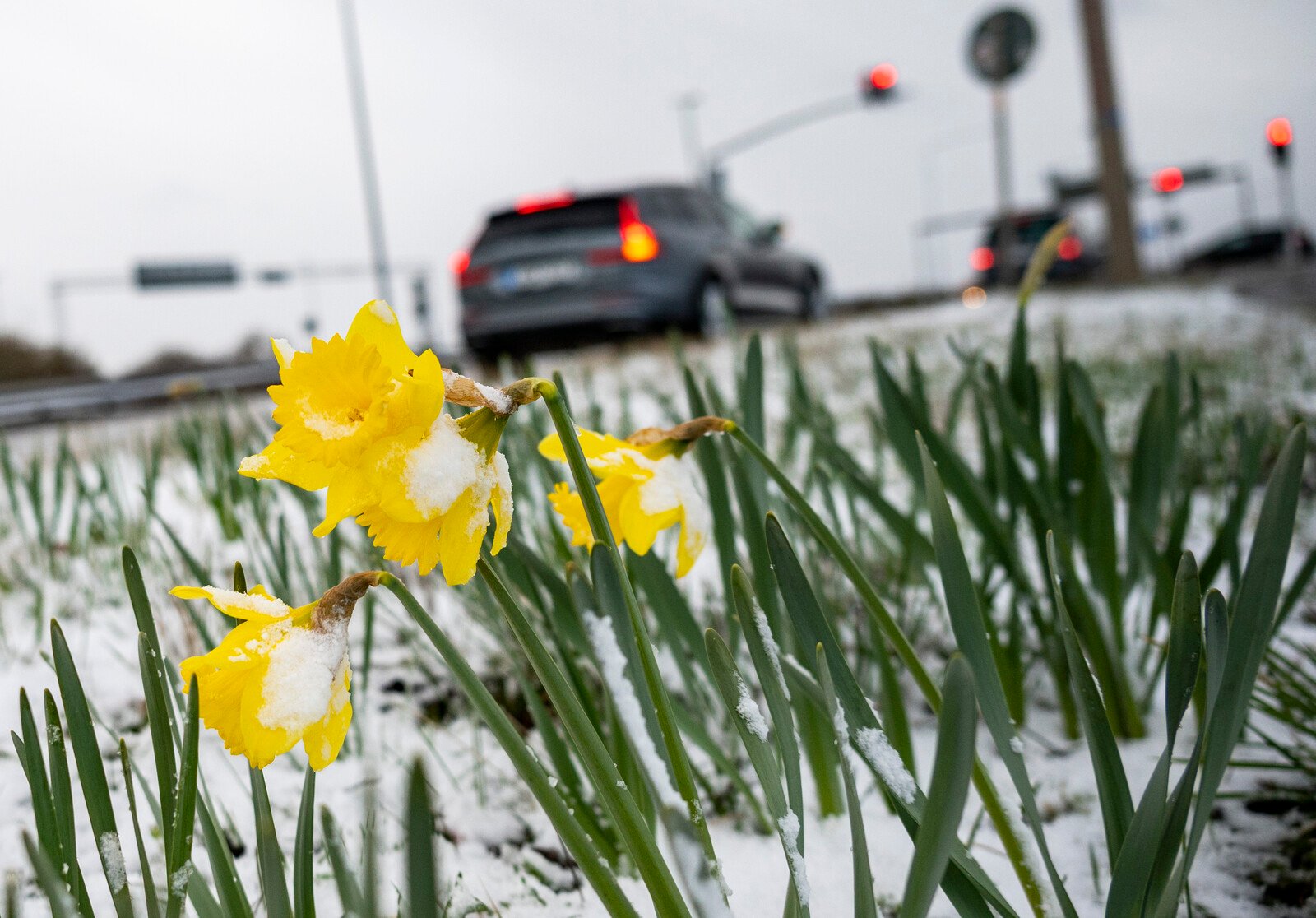 Easter Travel Chaos: Multiple Accidents