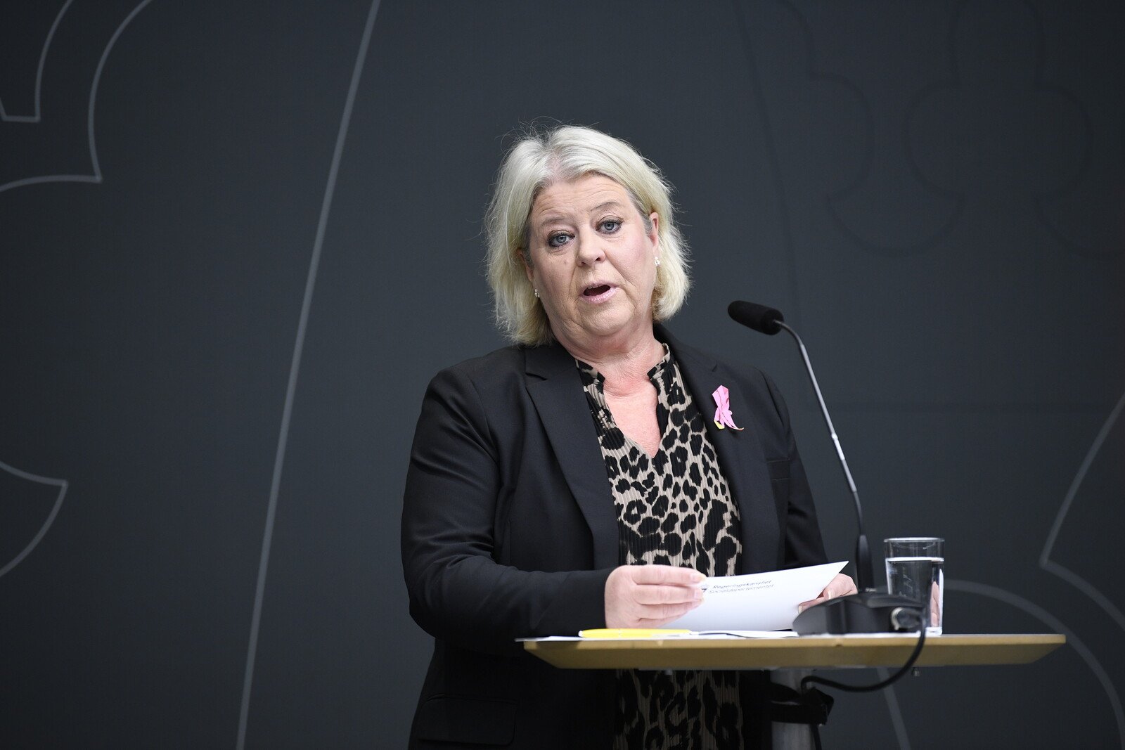 Government Urges Faster Expansion of Sis-Homes After Uppsala Incident