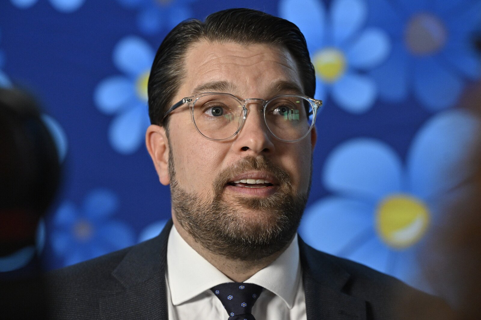 The Sweden Democrats increase in