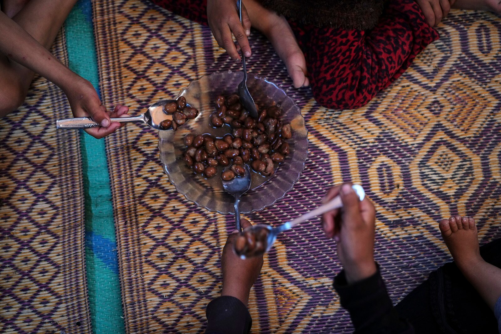 Gaza Food Crisis: Residents Resort to Eating Turtles Amid Blockade