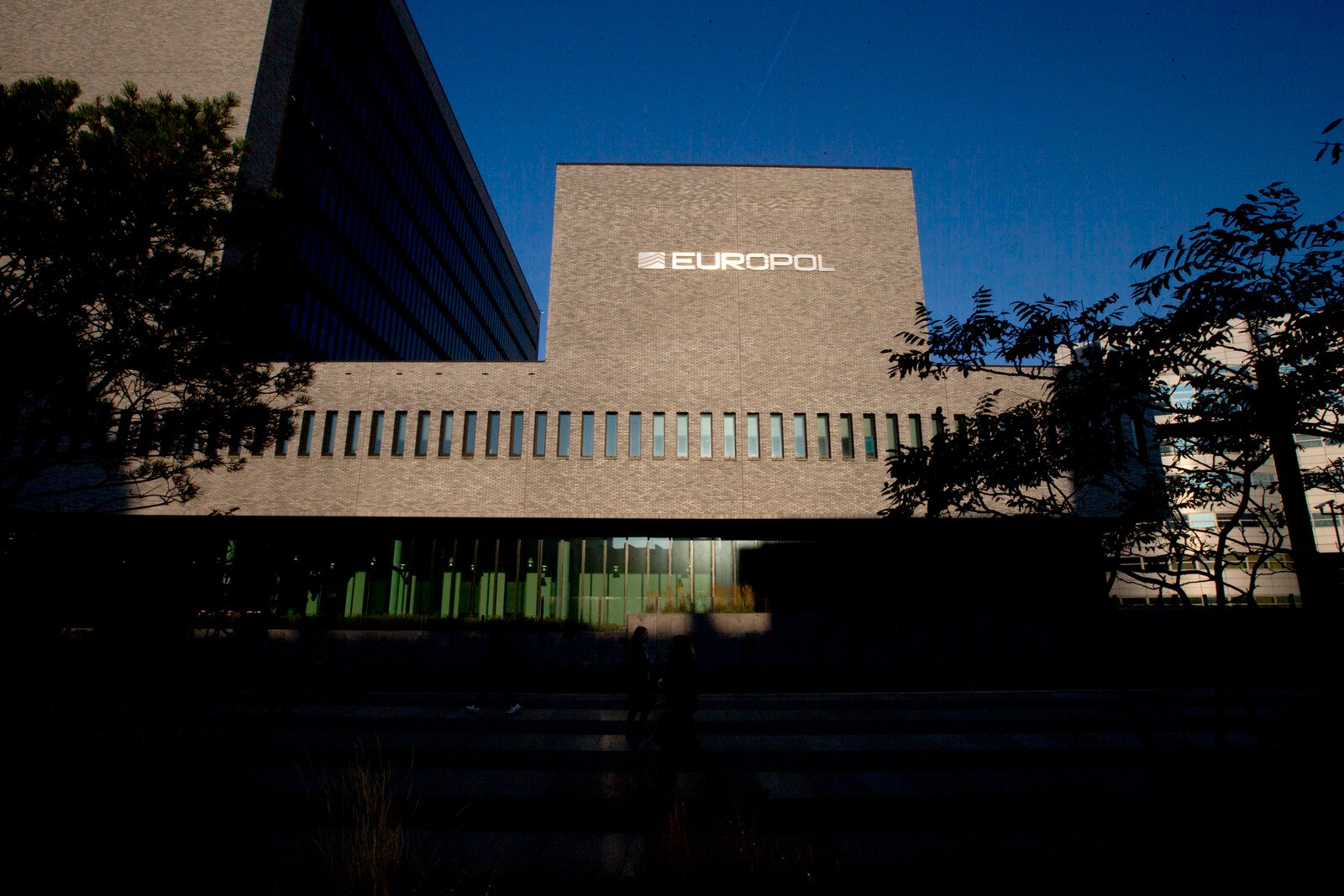 Swedes arrested in operation against