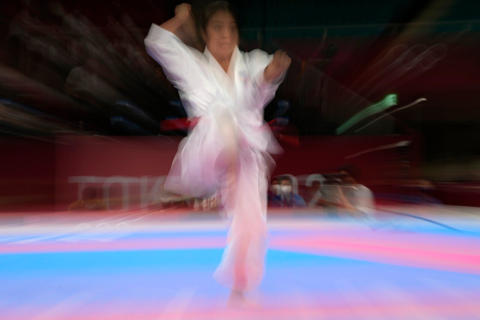 Swedish Karate Federation Faces Voting