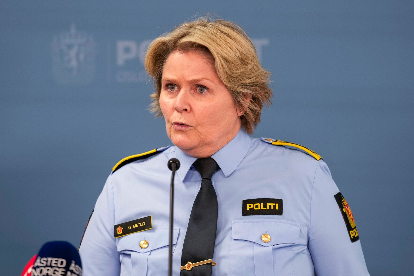 Norwegian Police Nab Suspect in