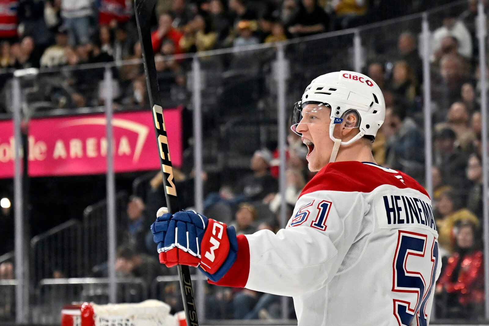 NHL Swede injured in traffic