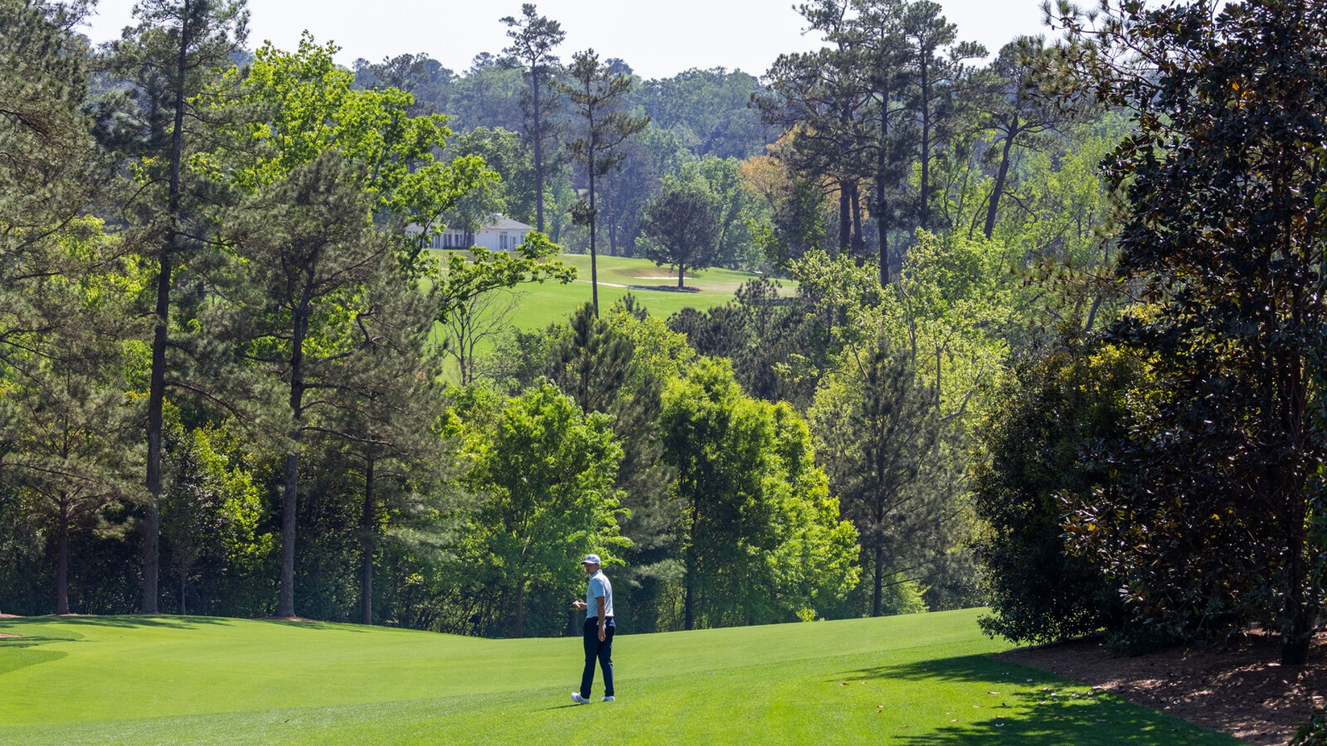 Augusta National Transformed: Fewer Trees After Hurricane Helen
