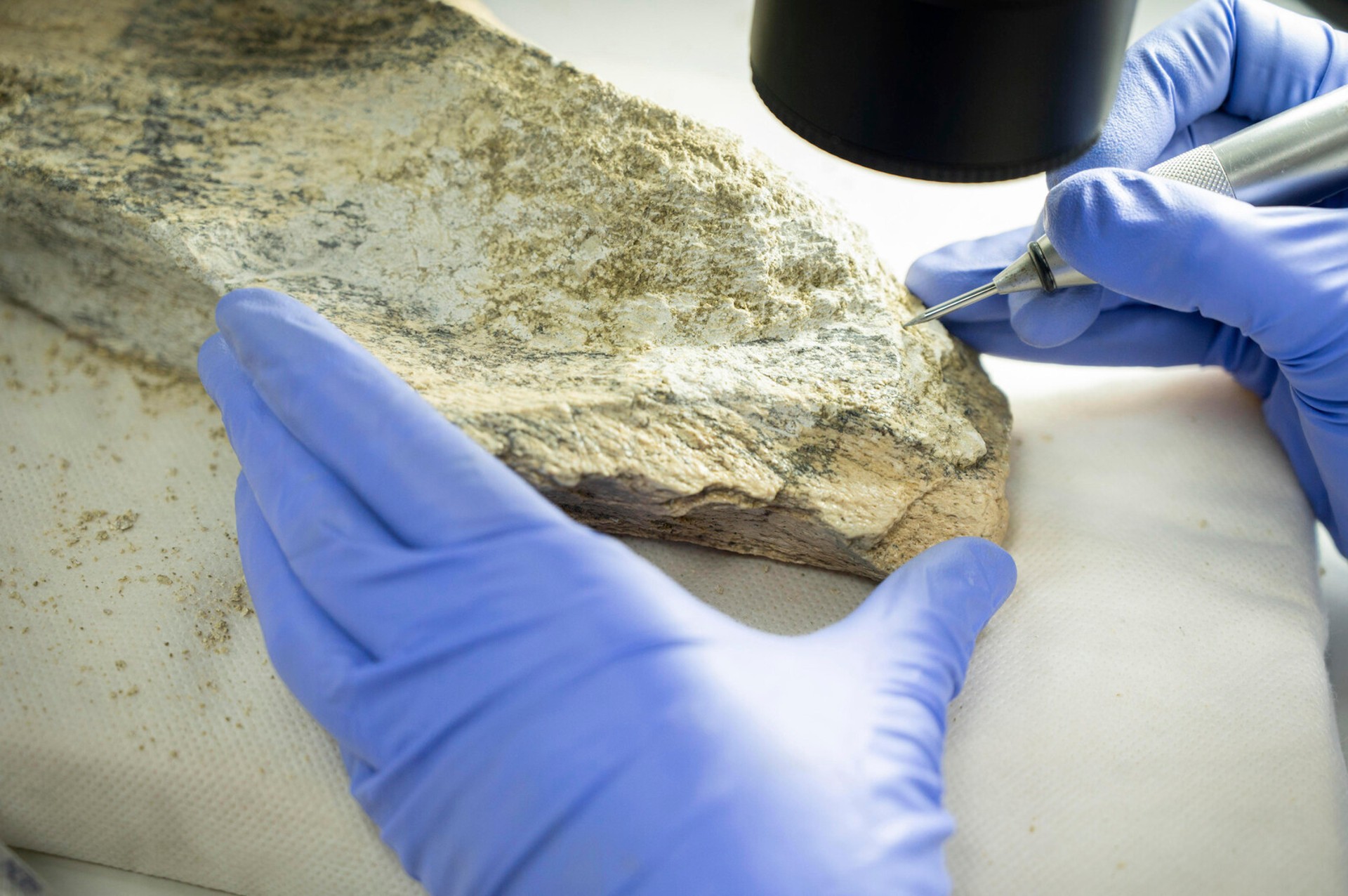 The Discovery: 1.5 Million-Year-Old Bone Tools