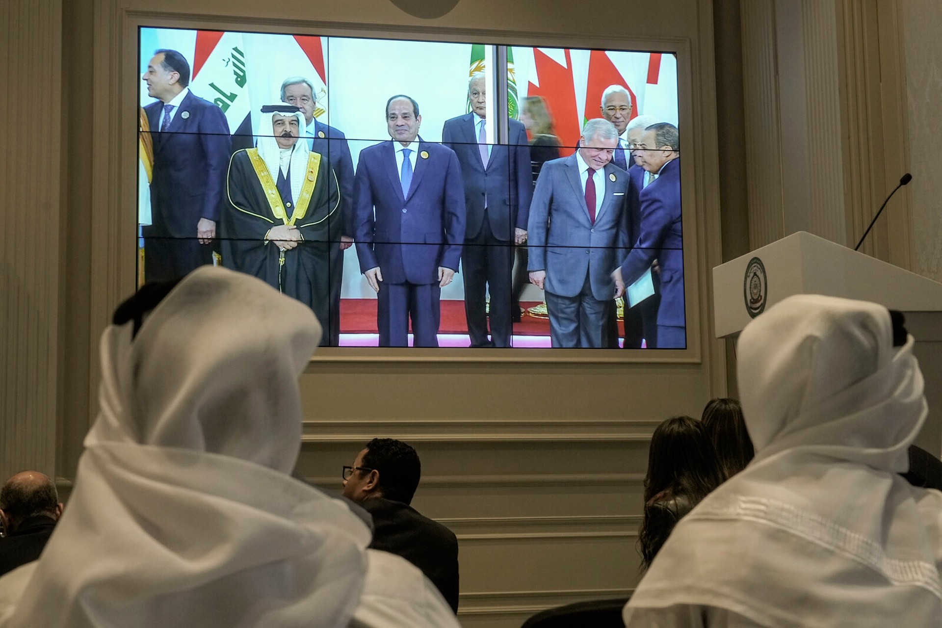 Arab Leaders Back Egypt's Vision