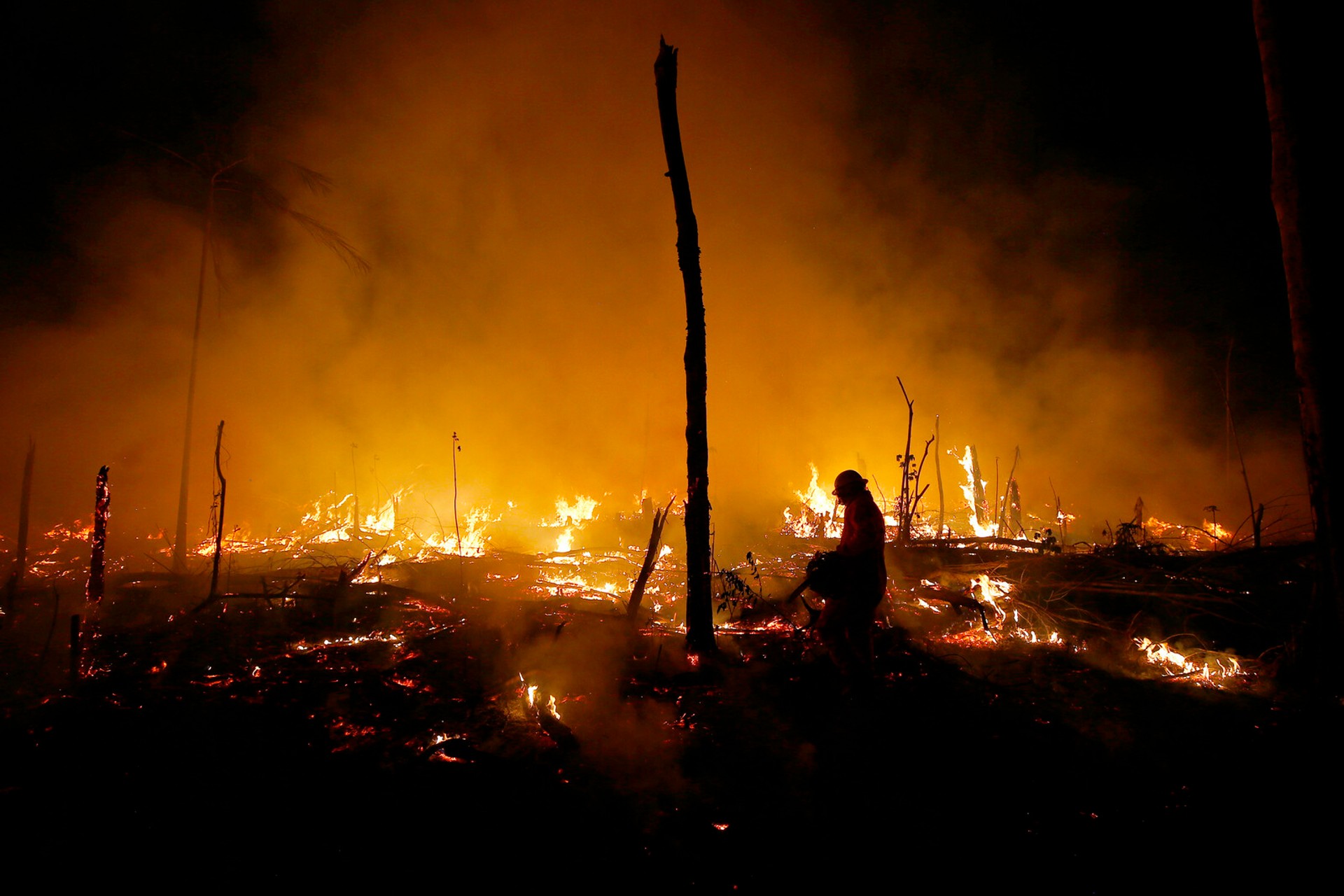 "No to changed rules for rainforest logging"