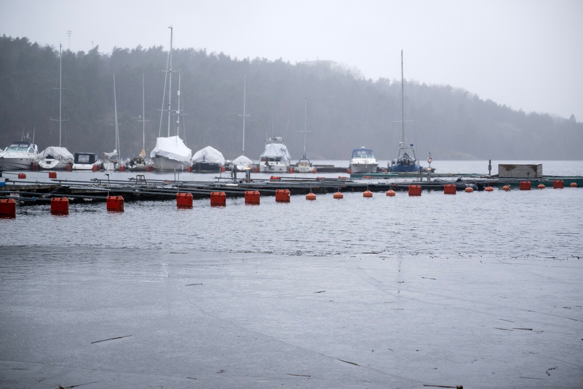 Despite Winter in Dalarna – Vasalopp Skiers Get Winter