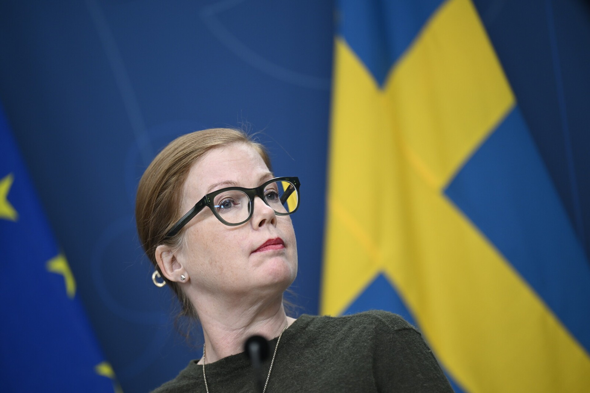 Swedish MP Anna Starbrink's MSB Appointment Sparks Controversy