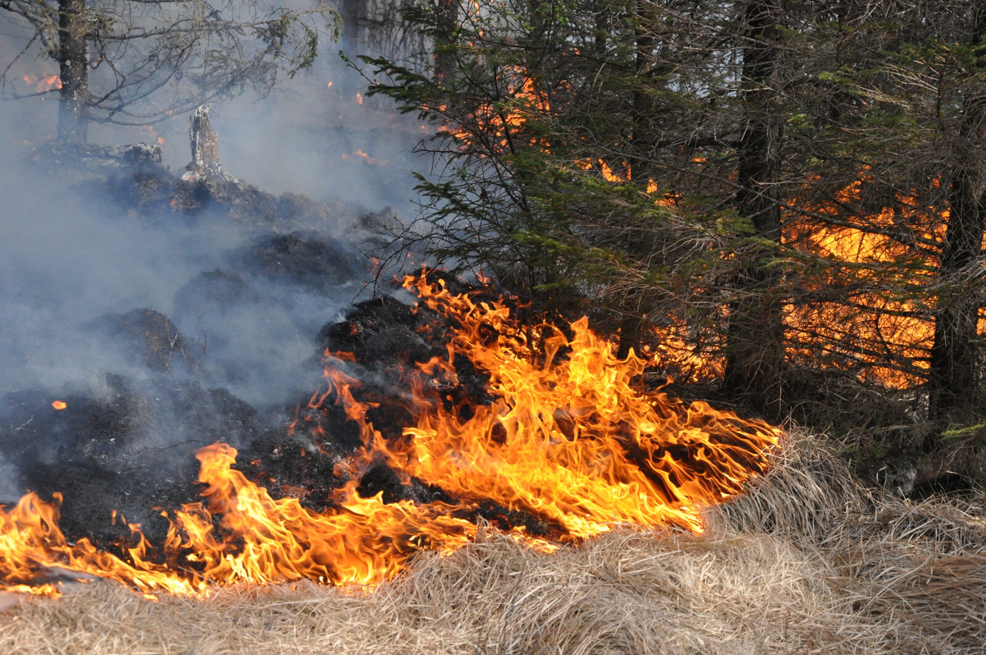 Risk of Grass Fires in Southern Sweden