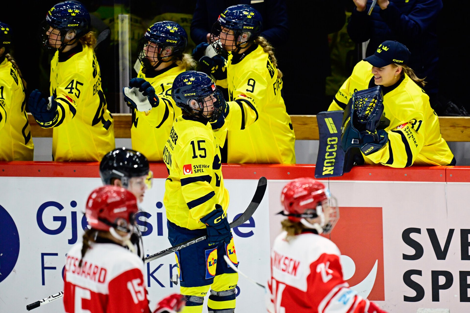 Veteran steps forward – Women's Hockey Team qualifies for the Olympic Games