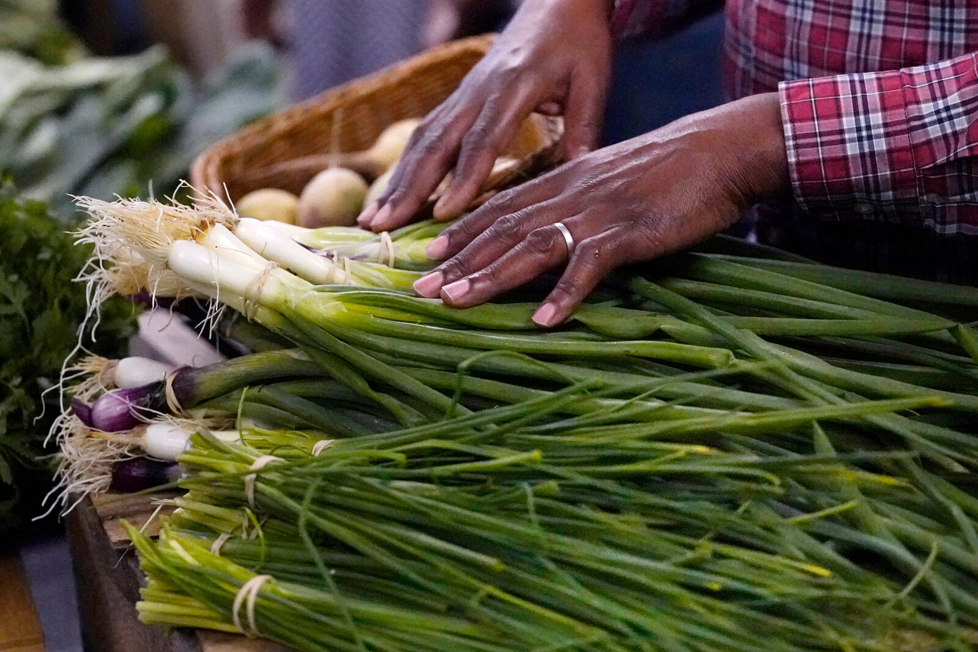 Global Food Prices Fall