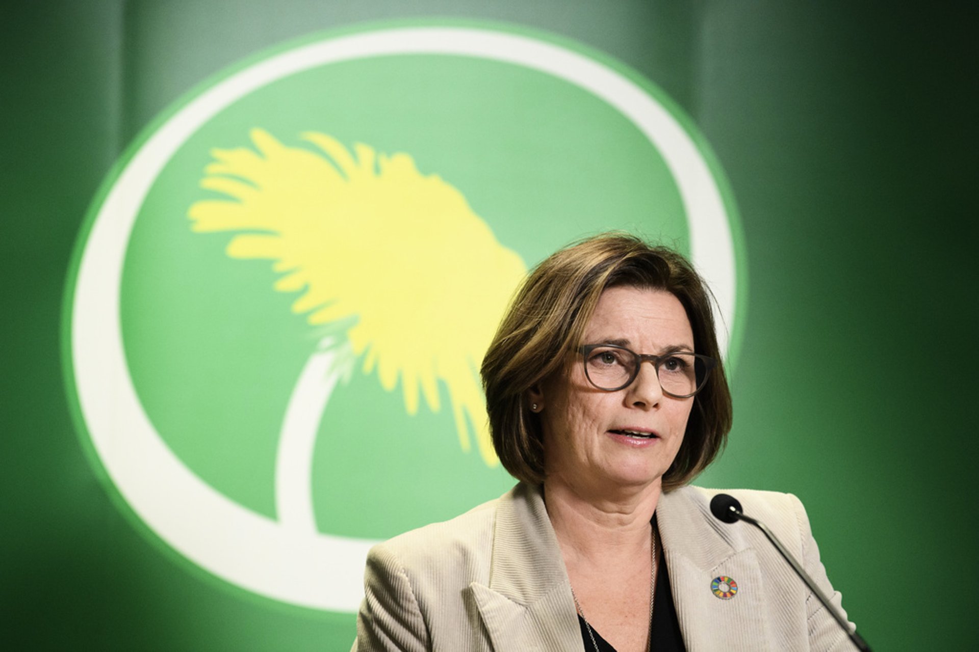 Lövin's criticism of the government: "Misleading"