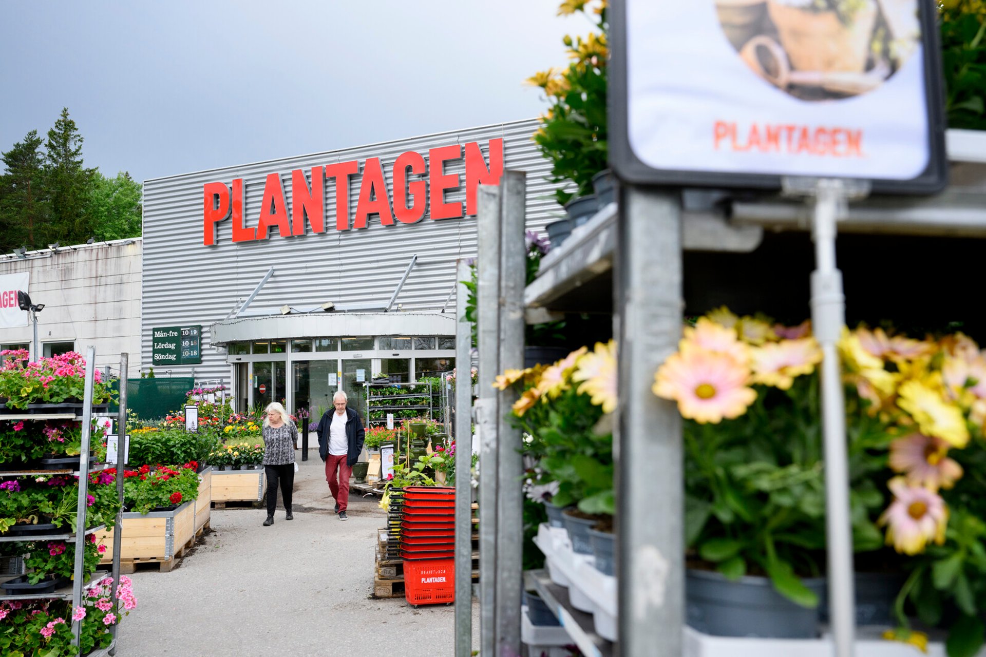 The Plant Chain Closes Stores