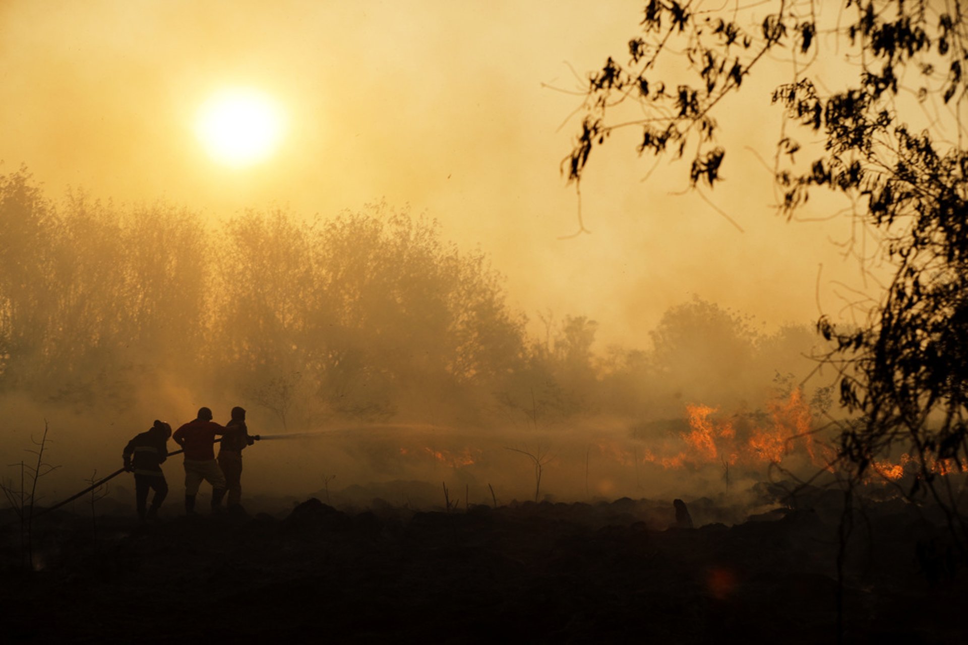 The Swedish Meteorological and Hydrological Institute: Very High Risk of Forest Fires