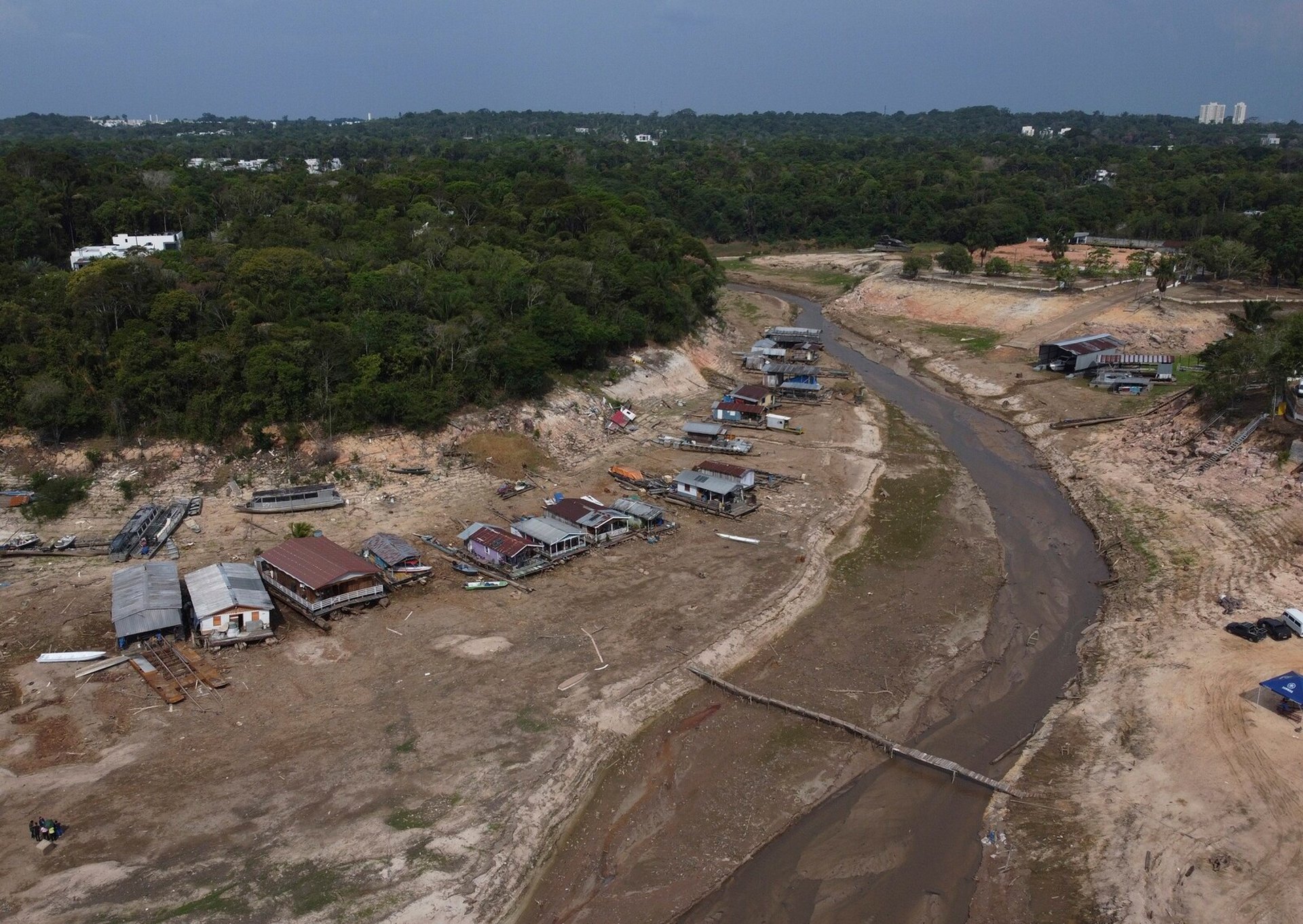 Less forest makes Amazon both wetter and drier