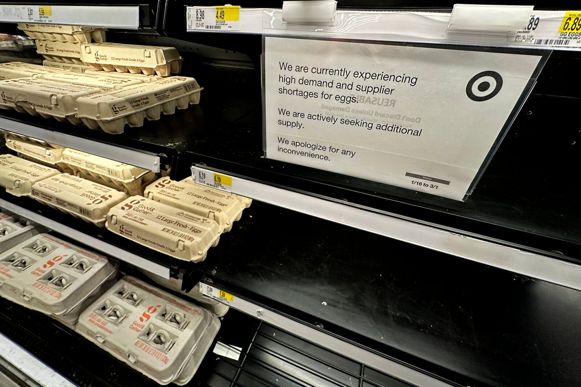 Egg shortage in the USA