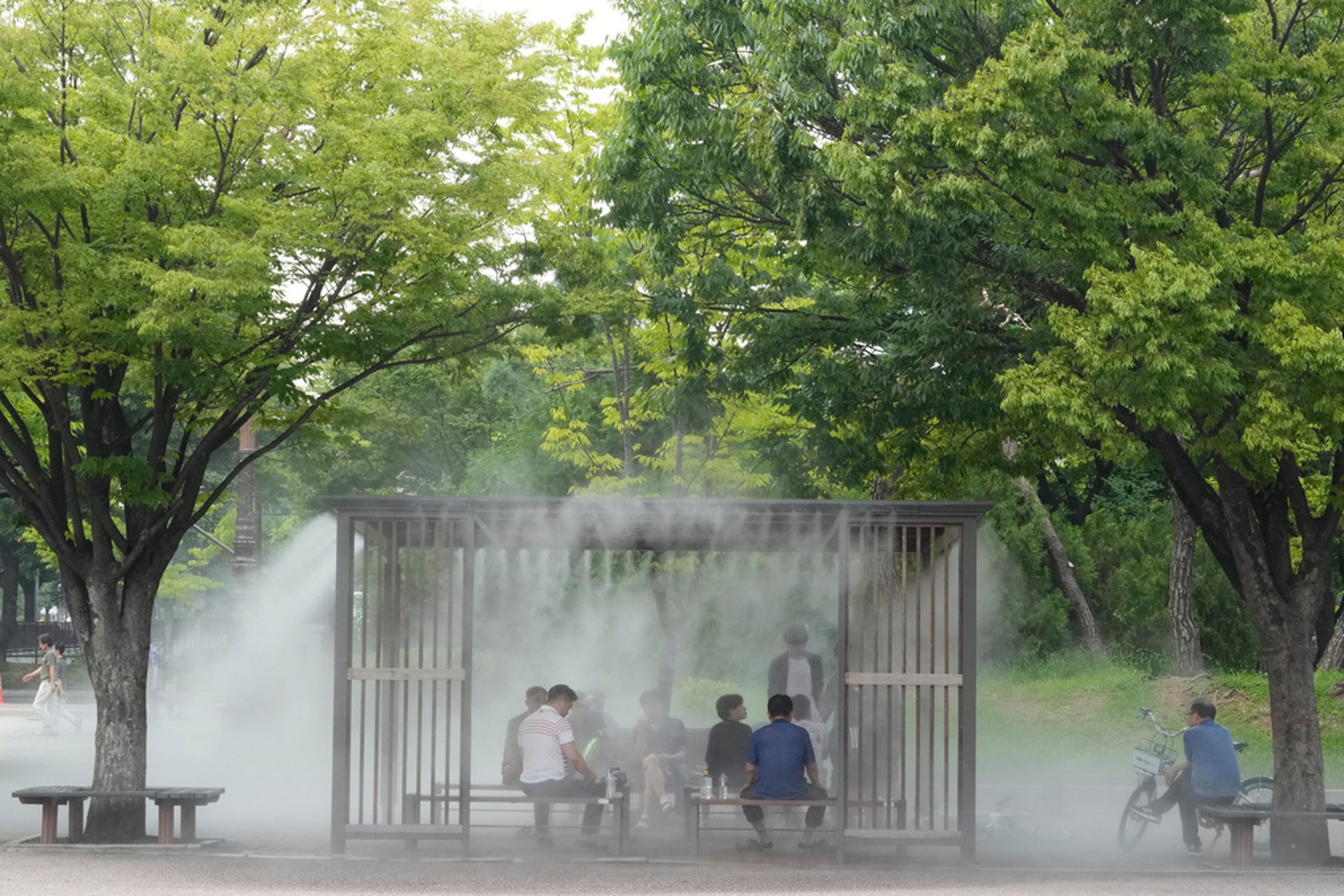 Record-breaking summer in South Korea