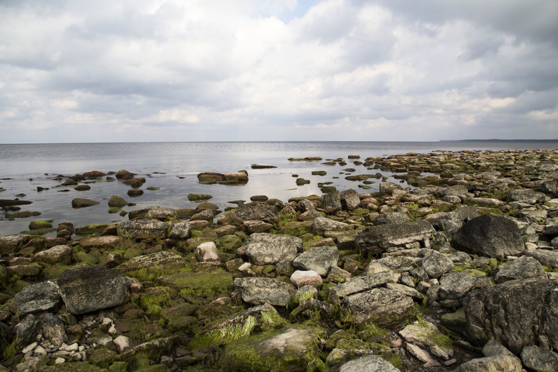 Wreck discovery off Öland: Champagne and soda water