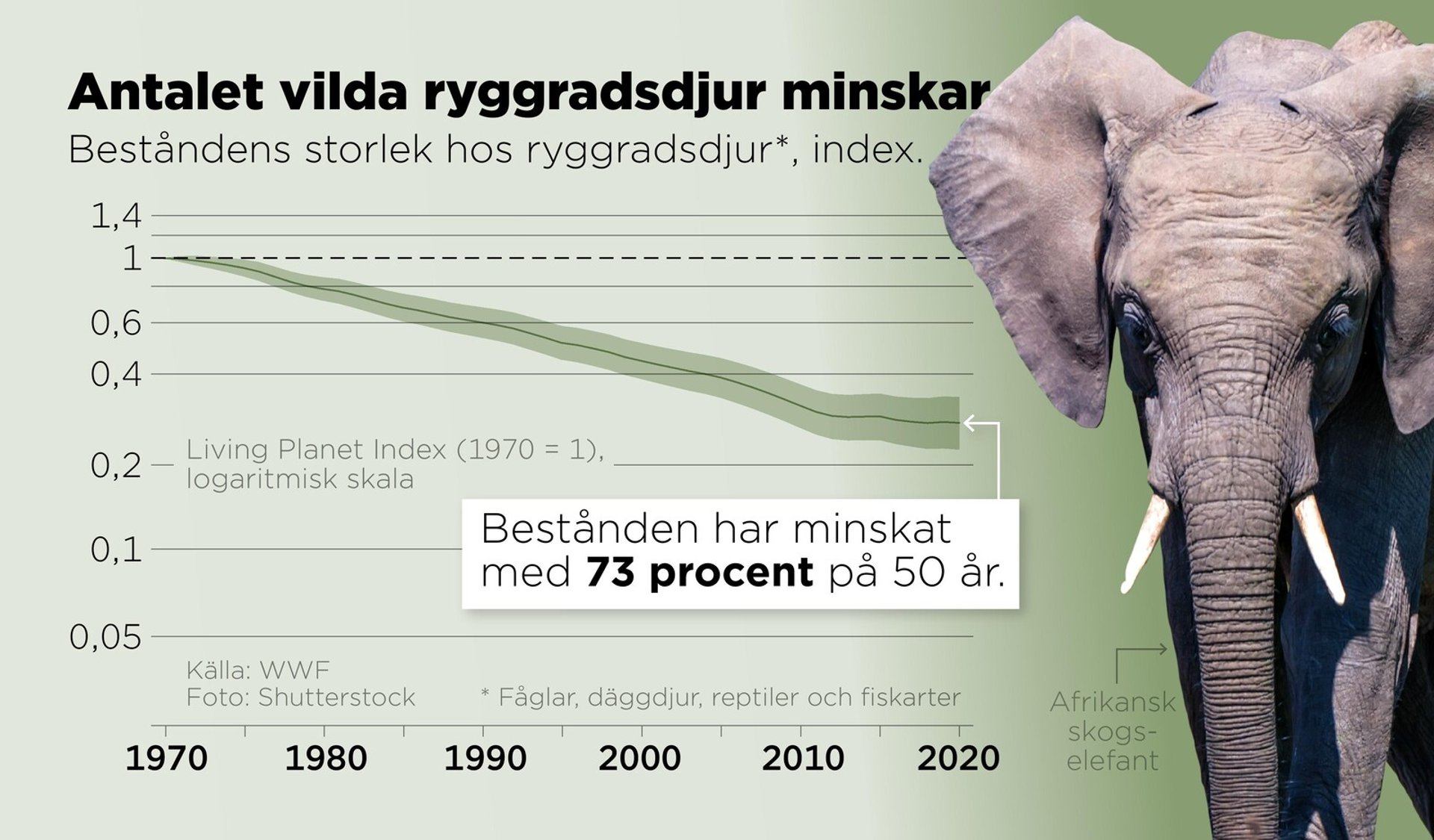 Three out of four animals gone – in just 50 years