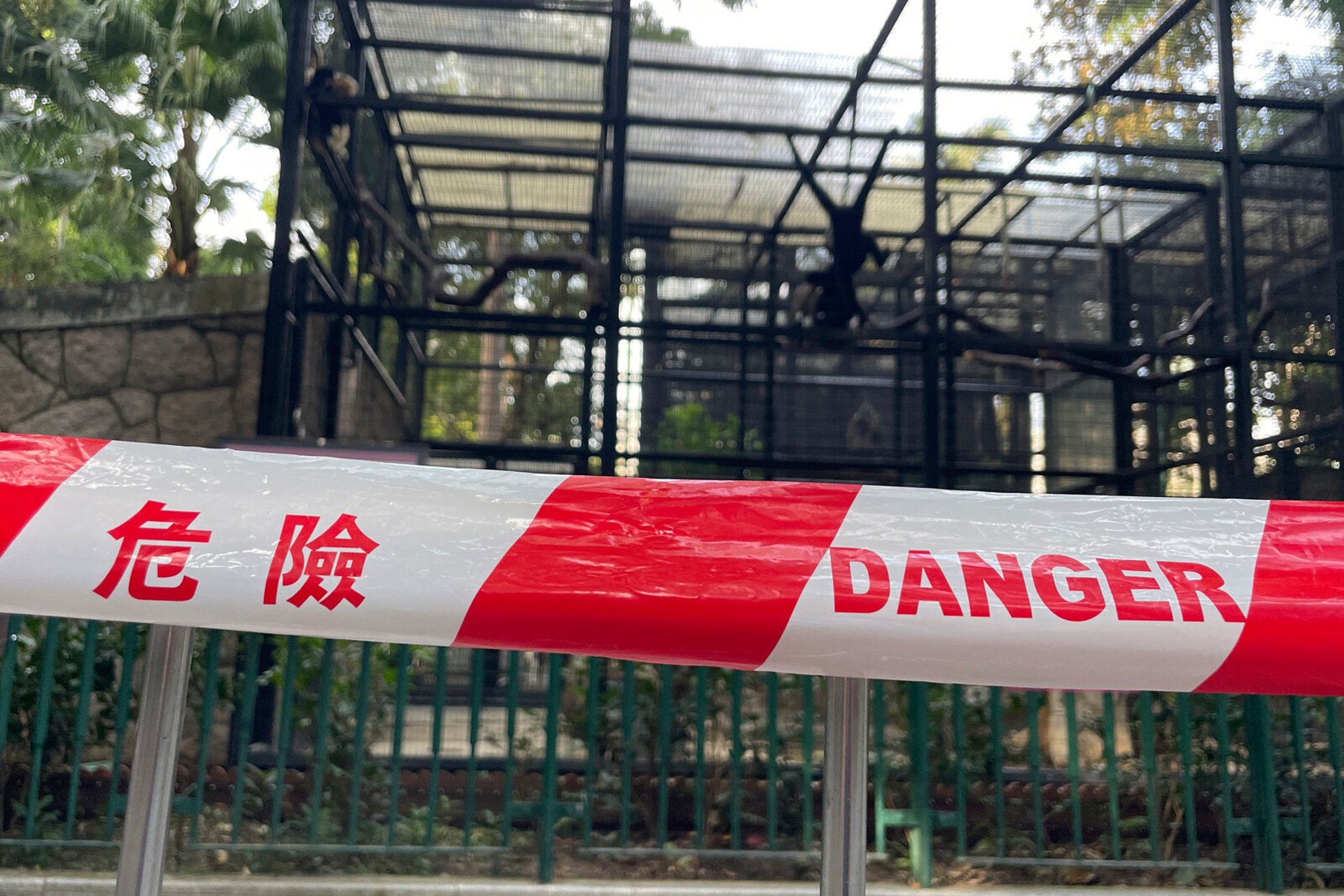 Mysterious Ape Deaths at Hong Kong Zoo