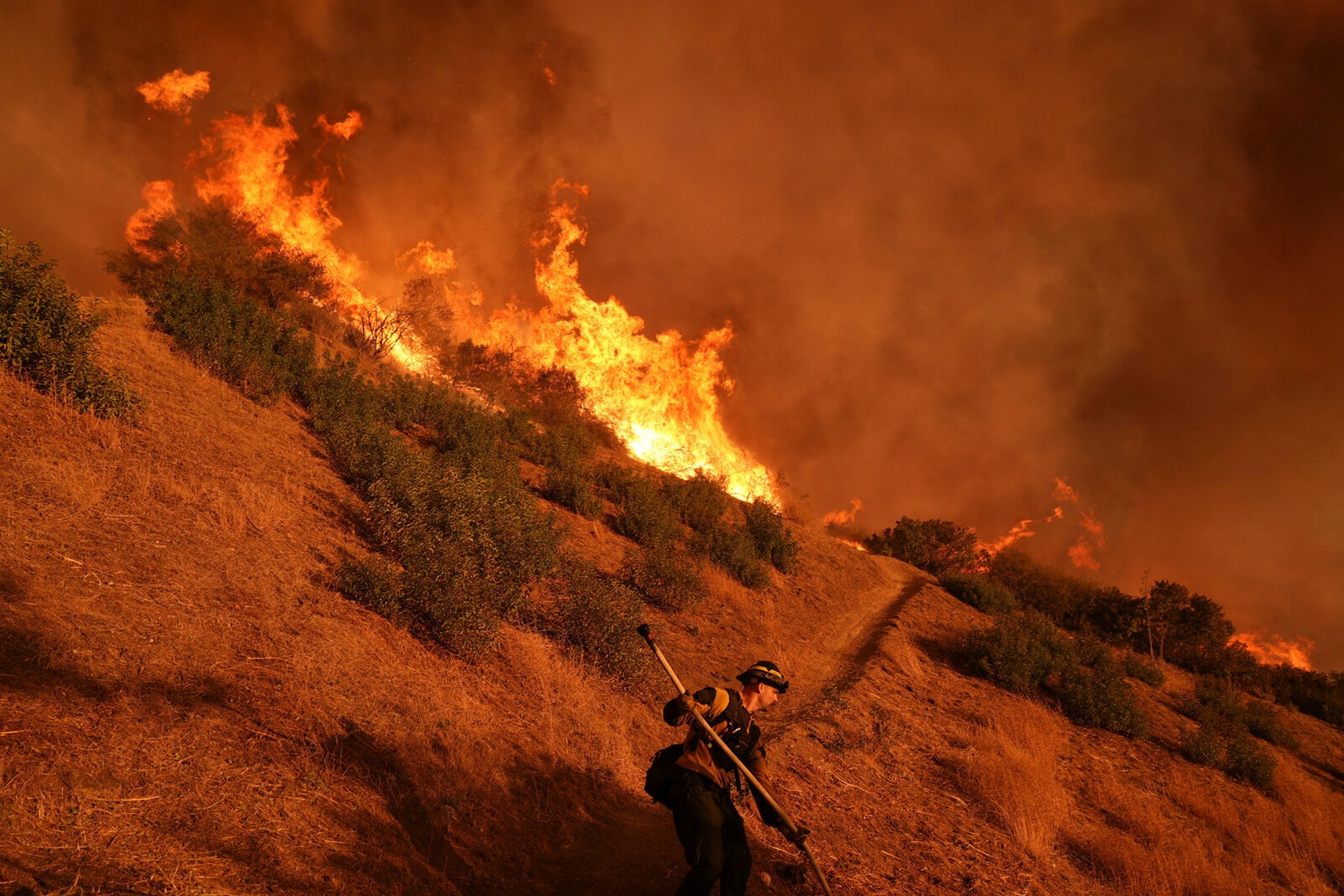 Invasive species exacerbate fires in