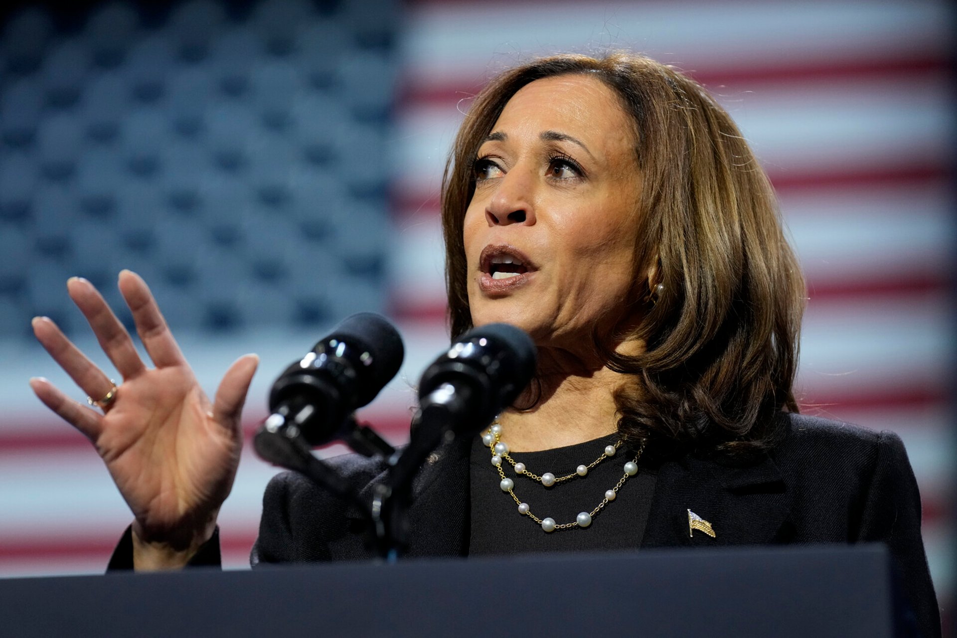 Harris condemns Trump's remarks about "internal enemies"