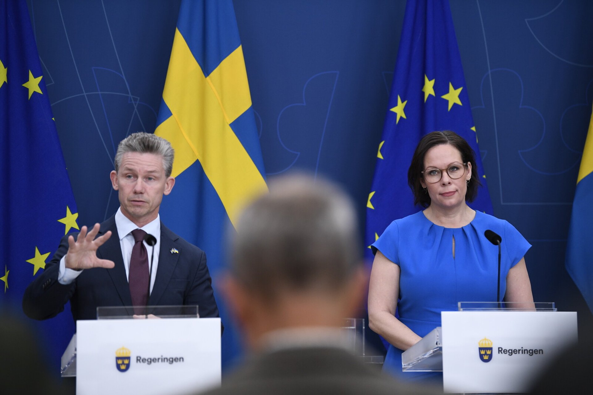 This is how Sweden will contribute to NATO's defense