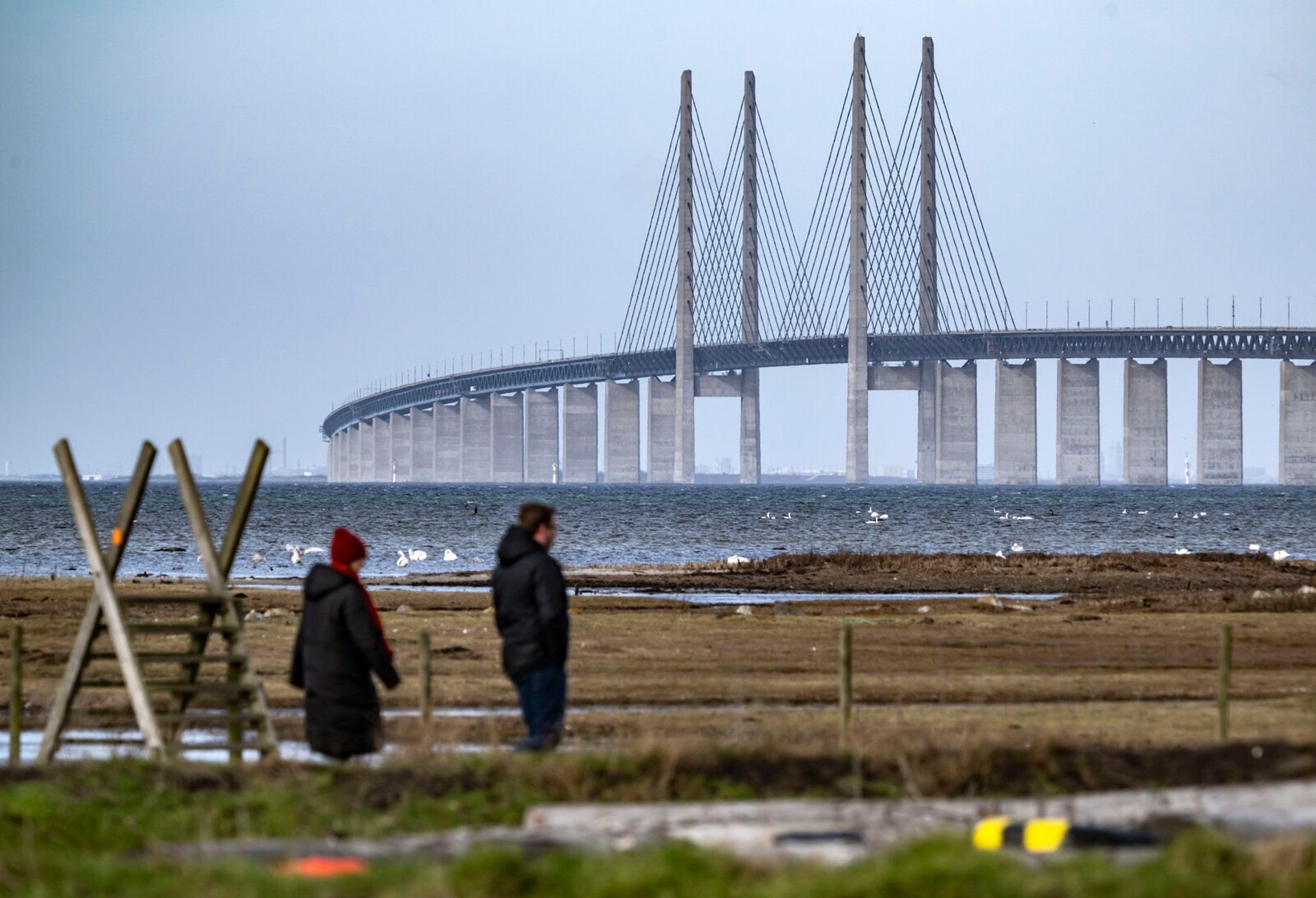 Öresund Bridge reopened after accident