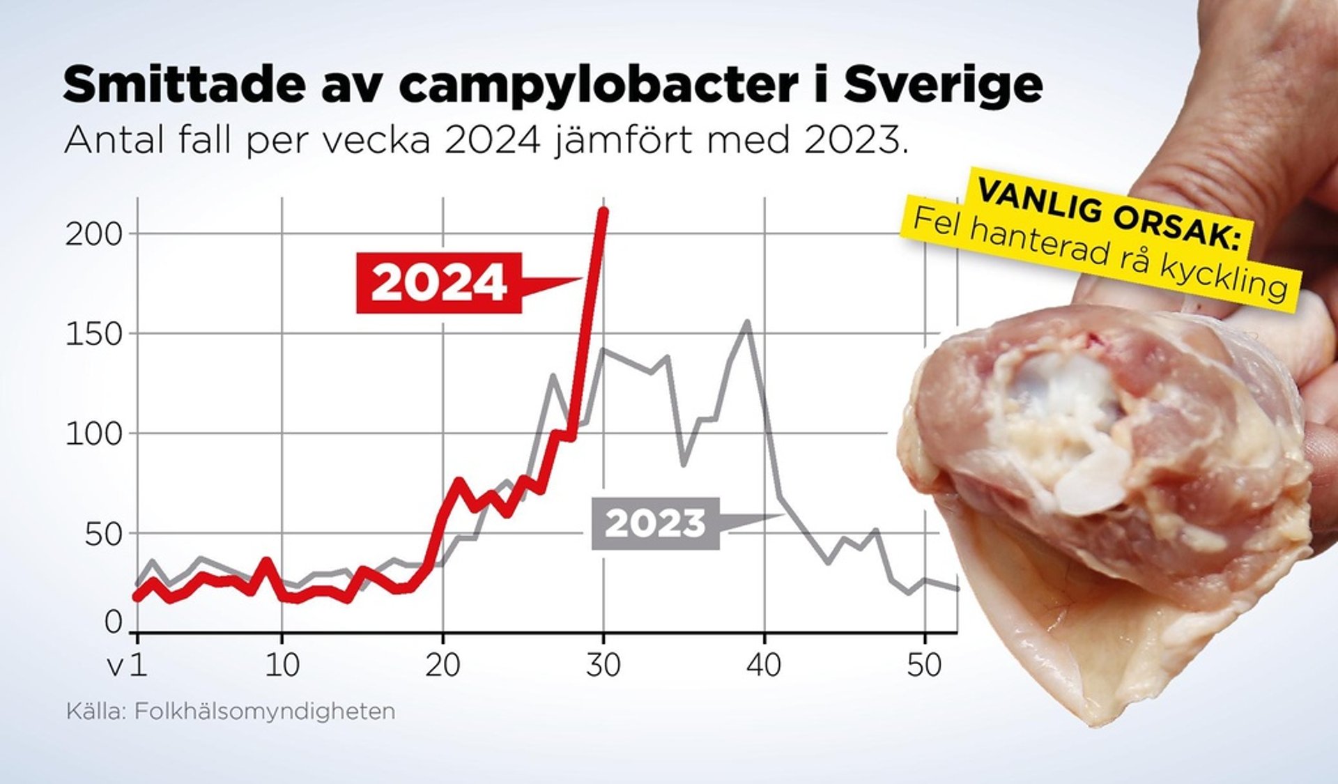 The Public Health Agency: Hundreds Sick from Raw Chicken